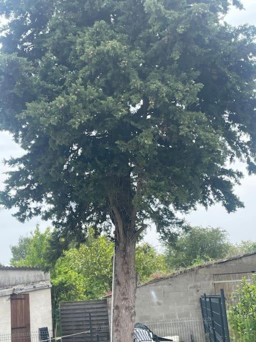 Maison Le Grand Sapin , 5Min Du Zoo Parc De Beauval Saint-Aignan  Extérieur photo